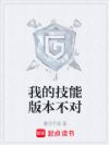 �ҵļ��ܰ汾����